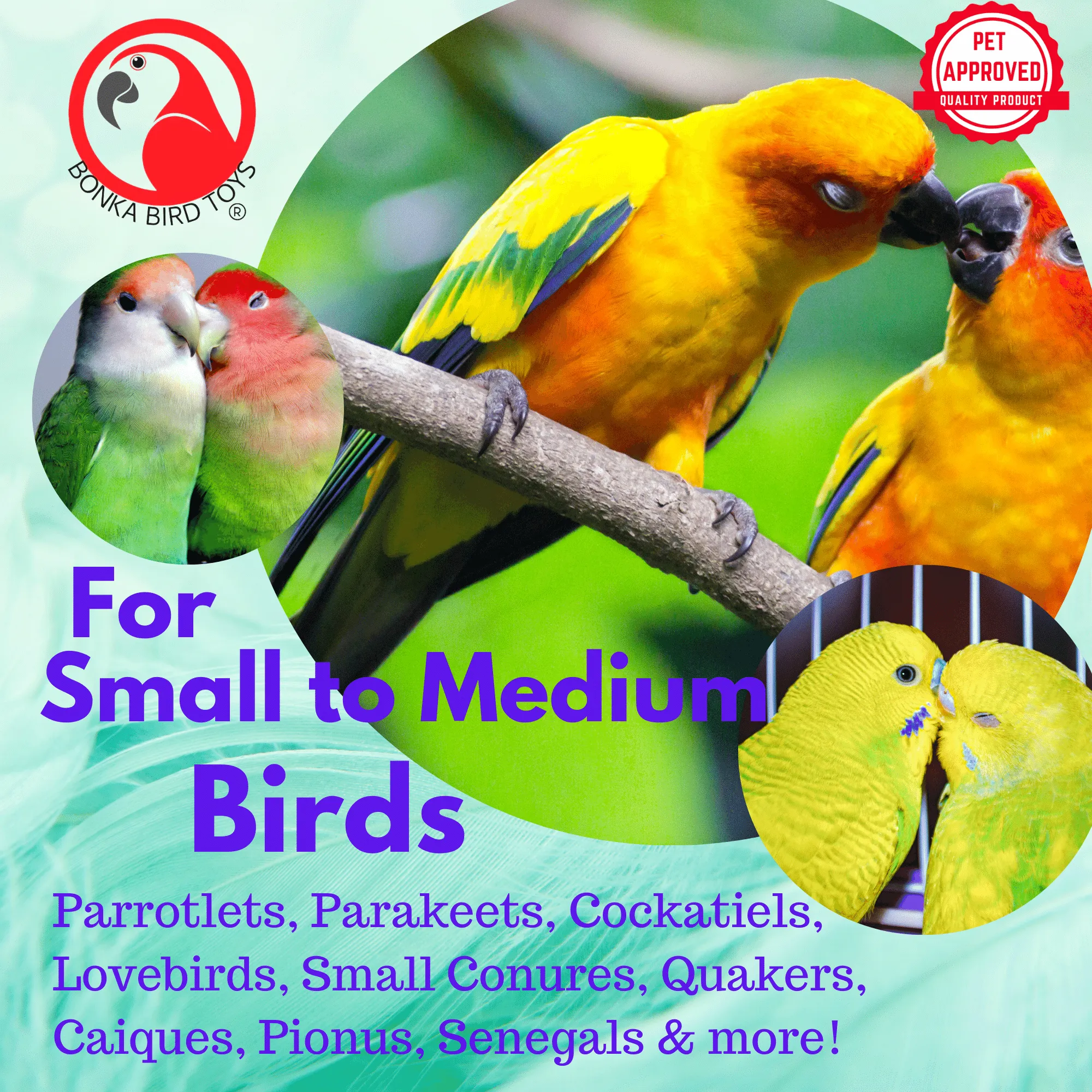 1401 Spoon Circle Small Bird Toy