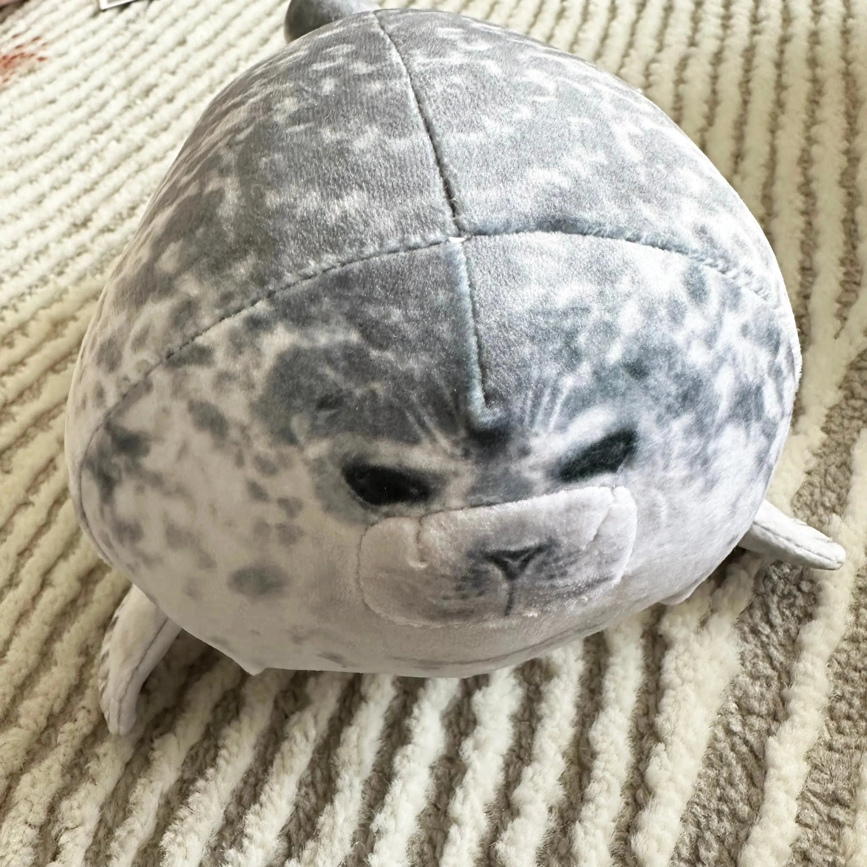 20cm Seal Pillow Popular Soft Doll Aquarium Plush Toy