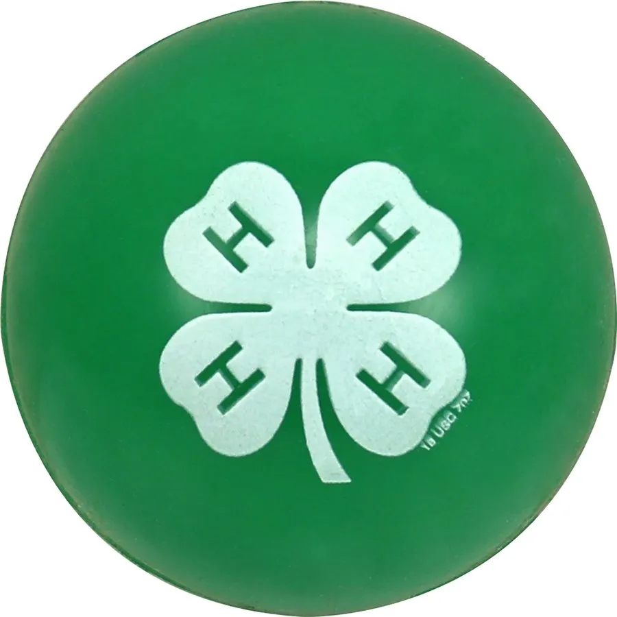 4-H Super Bouncy Ball