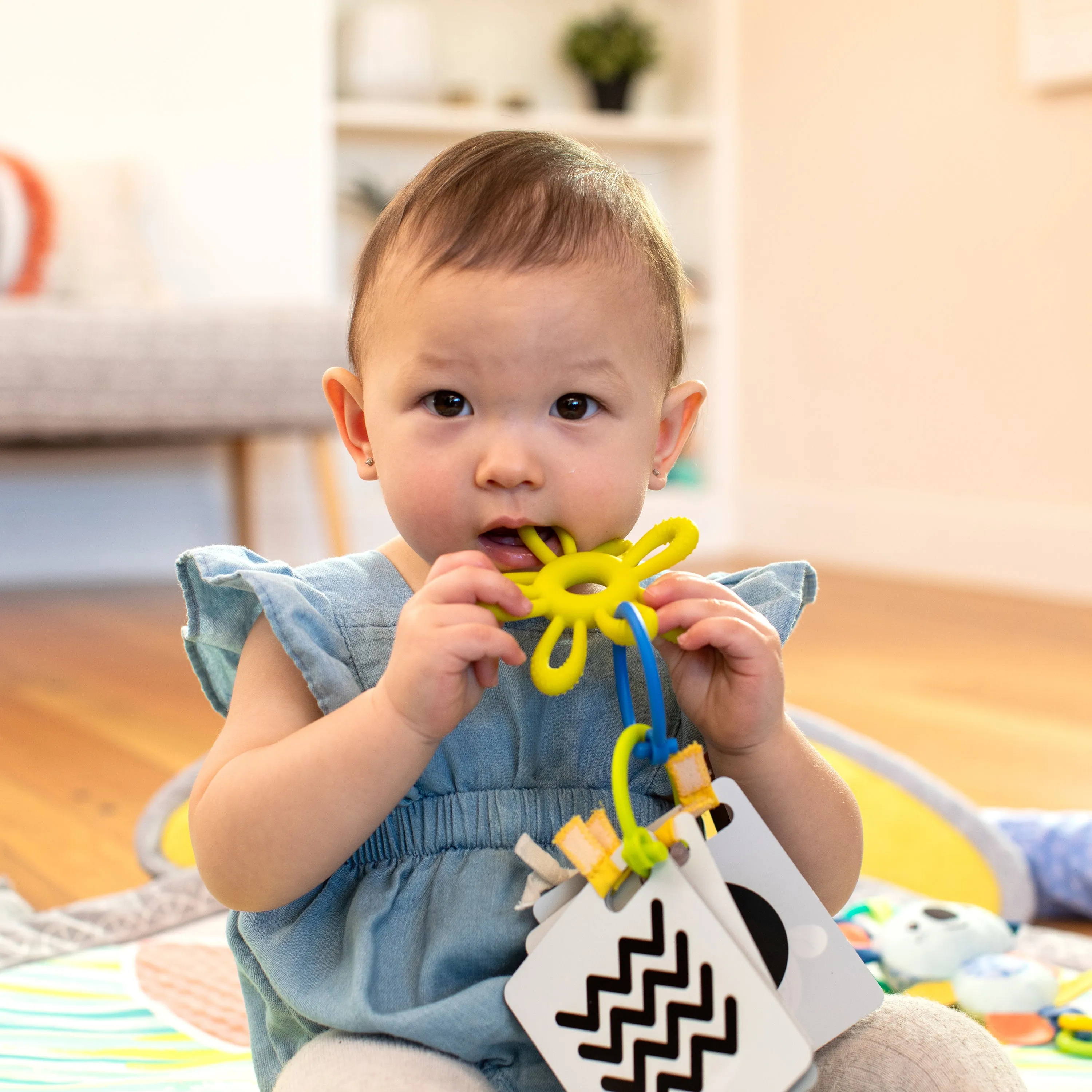5-IN-1 EPIC DEVELOPMENTAL LEARNING GYM™ GO GAGA