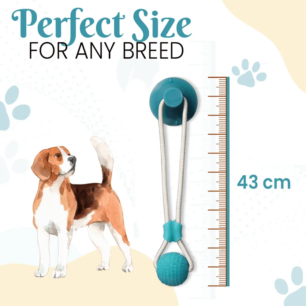 Basil Silicon Vacuum Cup with Rope & Ball Toy for Dogs and Cats | For Medium Chewers