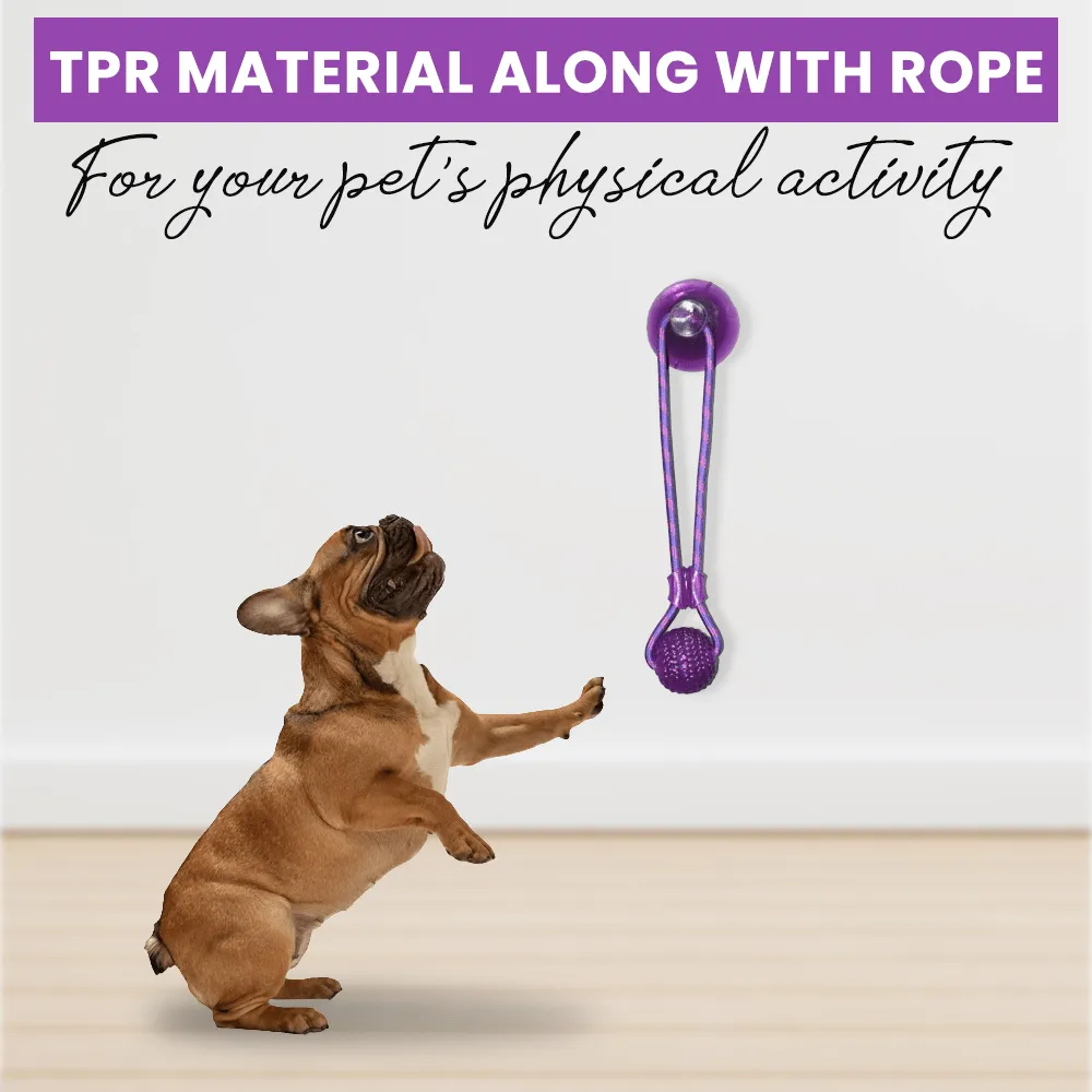 Basil Silicon Vacuum Cup with Rope & Ball Toy for Dogs and Cats | For Medium Chewers