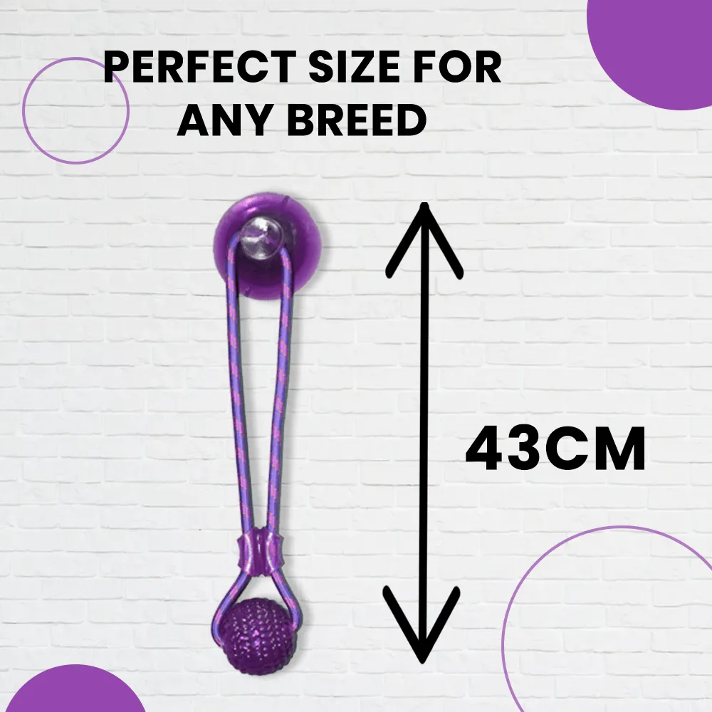 Basil Silicon Vacuum Cup with Rope & Ball Toy for Dogs and Cats | For Medium Chewers