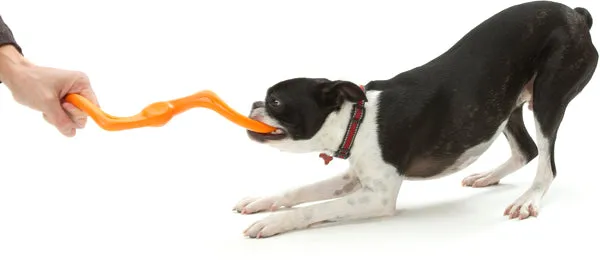 Būmi® Tug Dog Toy - Large
