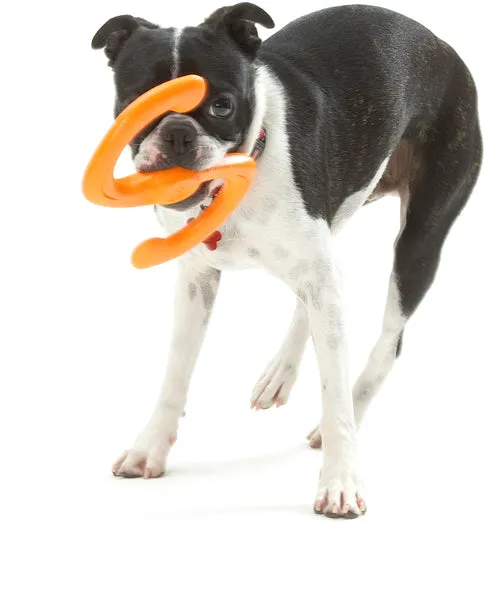 Būmi® Tug Dog Toy - Large