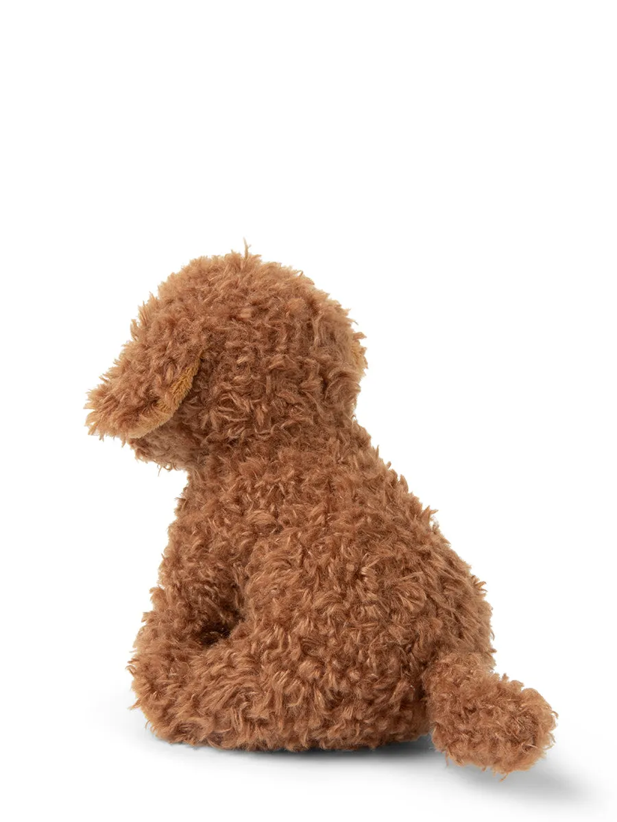B.T. Chaps - Stacy The Labradoodle In Giftbox