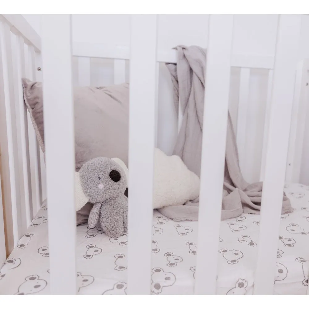 Bubble Coco the Koala