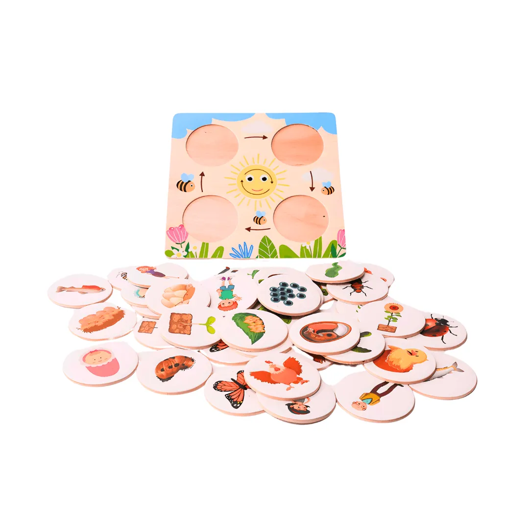 Growth Cycle Puzzle for Kids Age 3 
