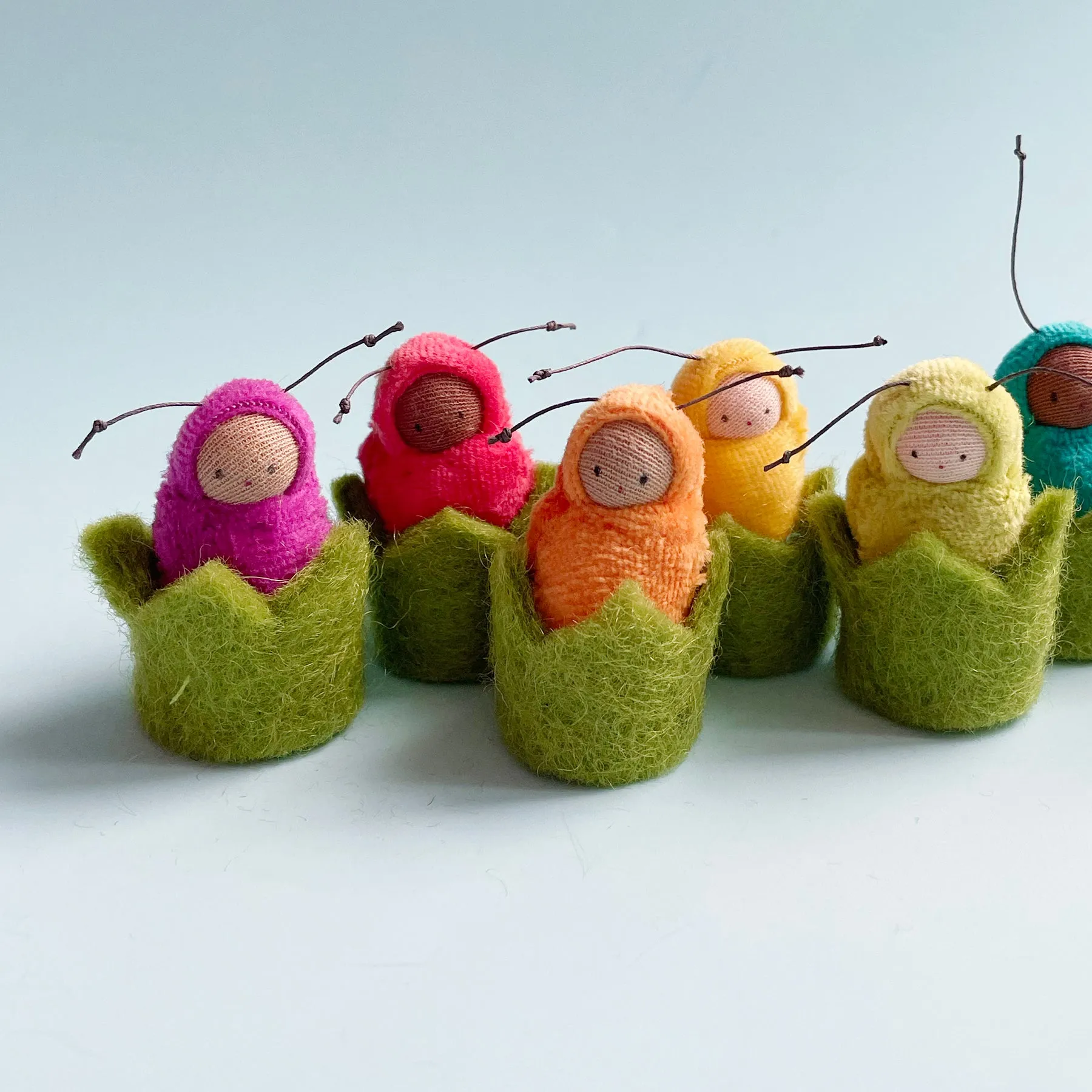 Love Bug in Grass Cozy