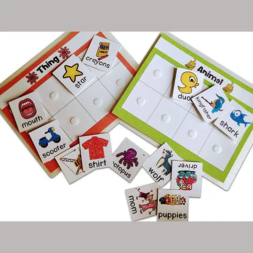 Noun - Person, Place, Animal And Things Sorting Activity