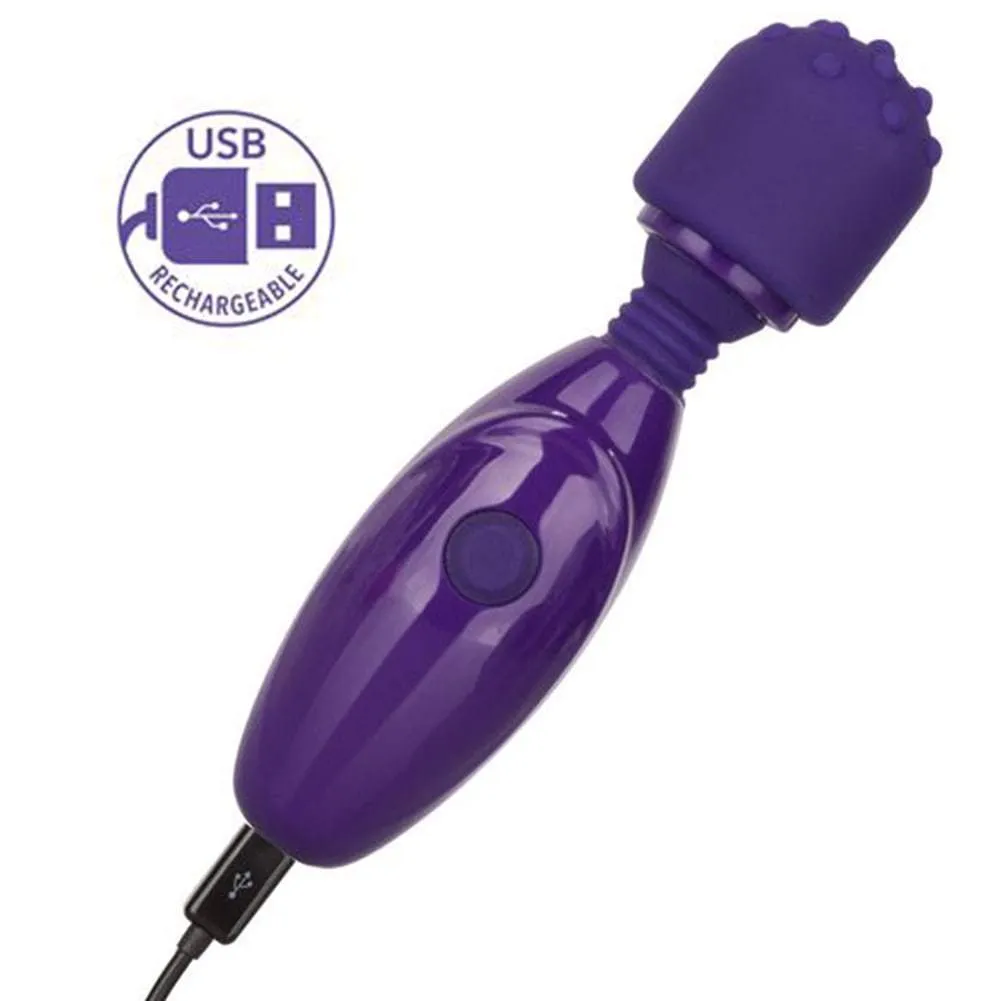 Nubby Teaser Rechargeable Mini Wand