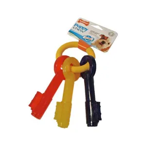 Nylabone Puppy Teething Keys Medium