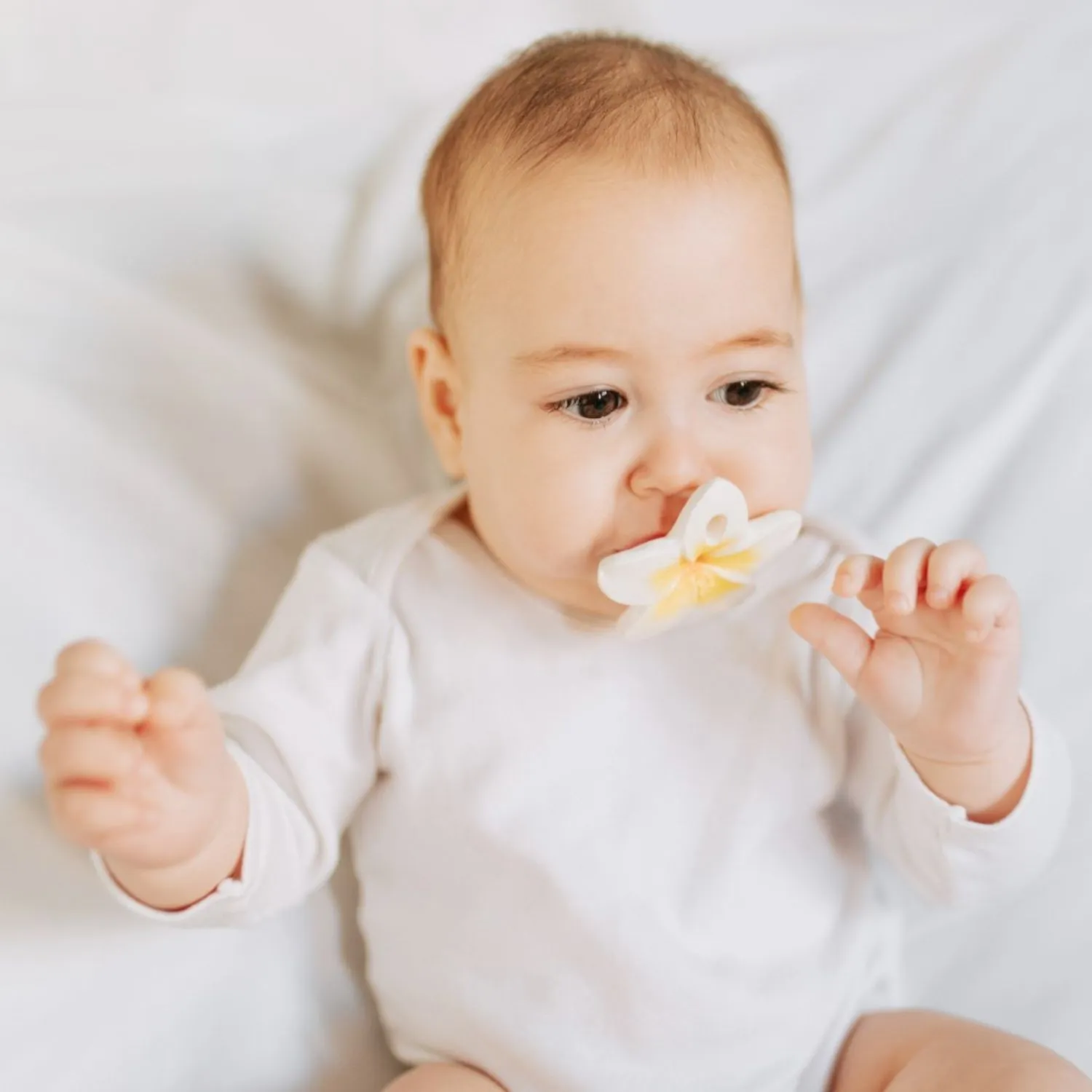 Oli & Carol Hawaii The Flower Chewy Teether