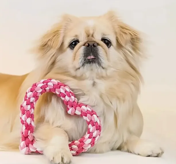 Pet Heart Chew Toys Cotton Rope (Mixed Color)