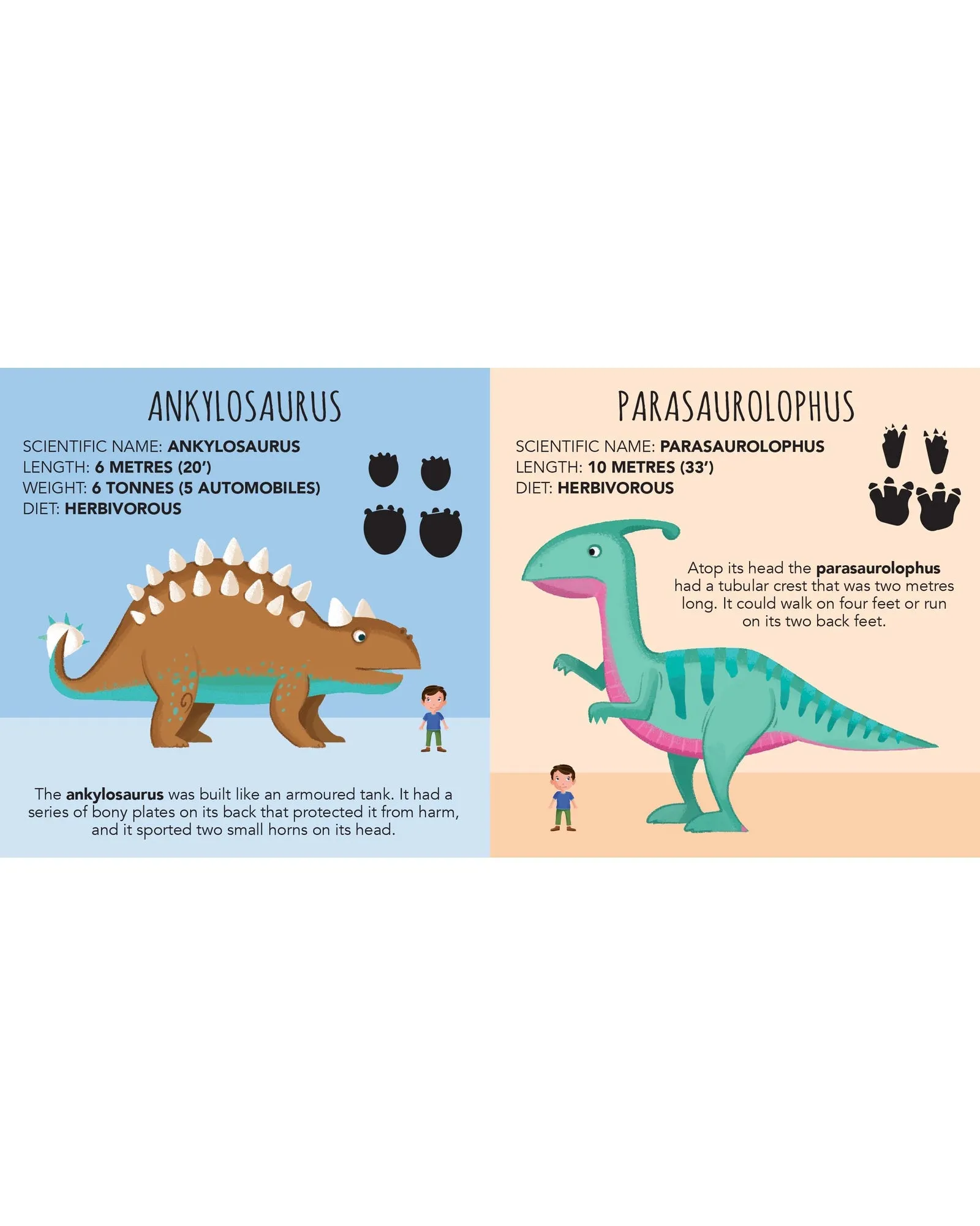 Sassi Stacking Blocks and Book Dinosaur