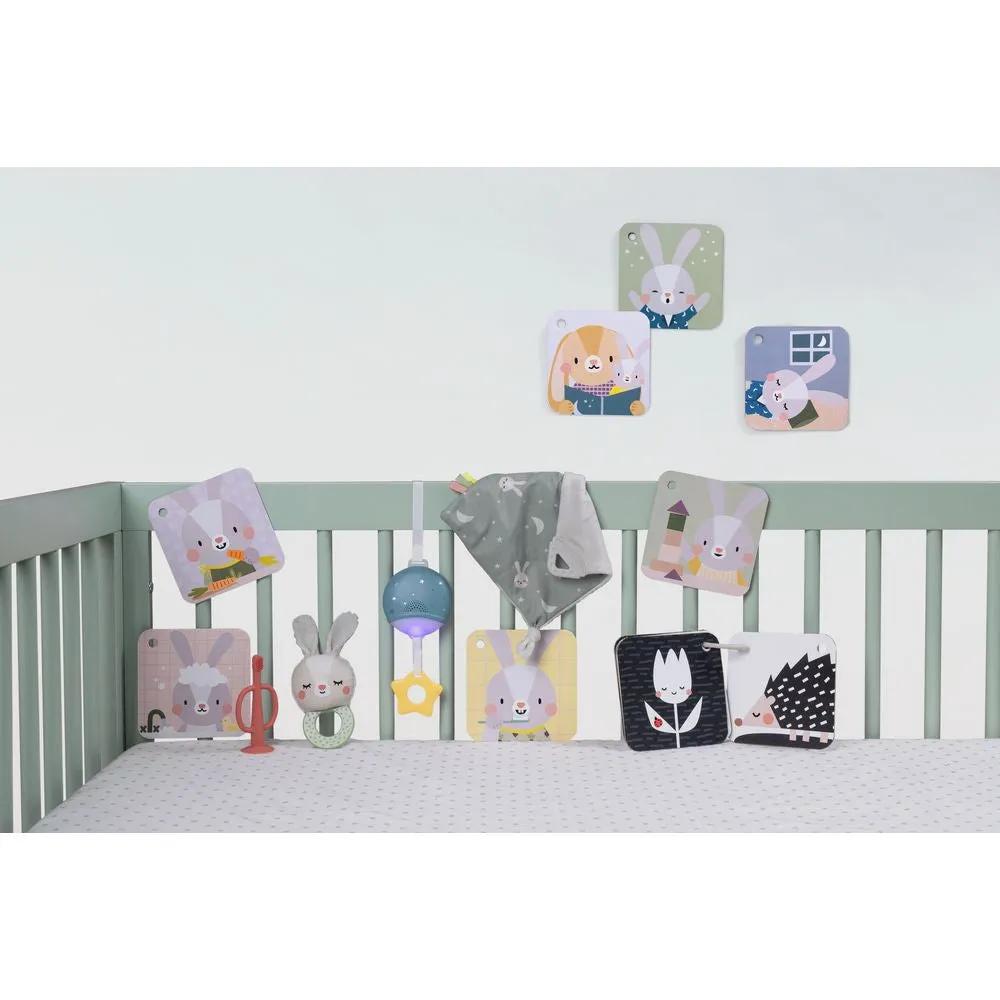 Taf Toys Bedtime Kit