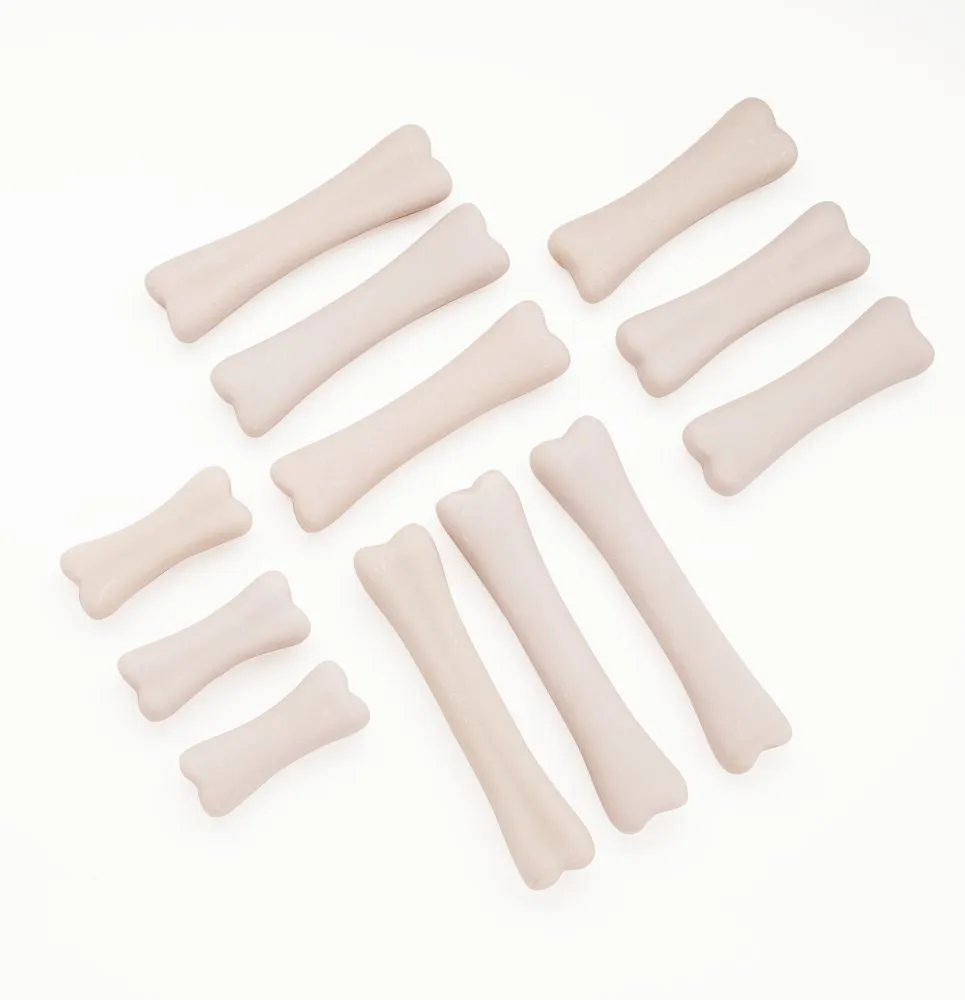 Yellow Door Discovery Set Dinosaur Bones